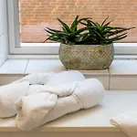 Appartement In Uni- Und Citynaehe *